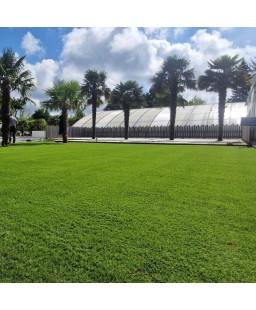 gazon 30mm- gazon synthétique 30 mm- pelouse artificiel- gazon caresse 30mm-