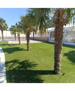 gazon 30mm- gazon synthétique 30 mm- pelouse artificiel- gazon caresse 30mm-